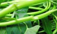 设施蔬菜水旱轮作新模式