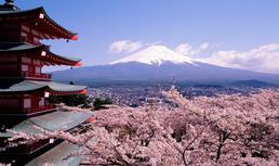 结构制造 : 日本当代建筑形态研究