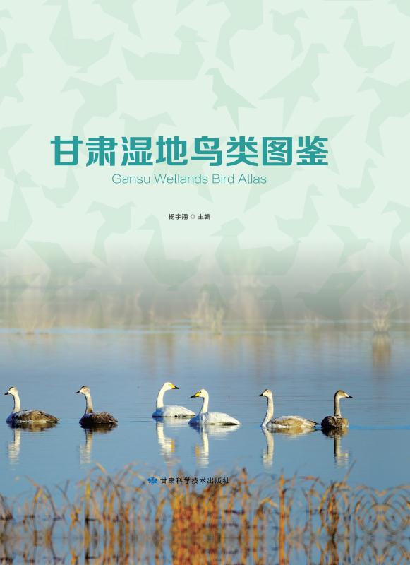 甘肃湿地鸟类图鉴