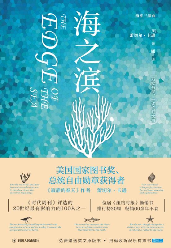 海之滨