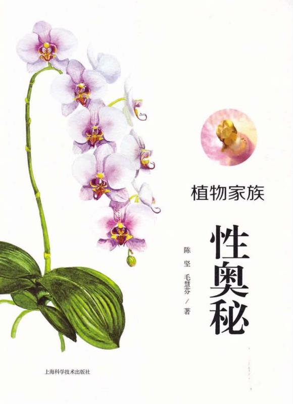 植物家族性奥秘
