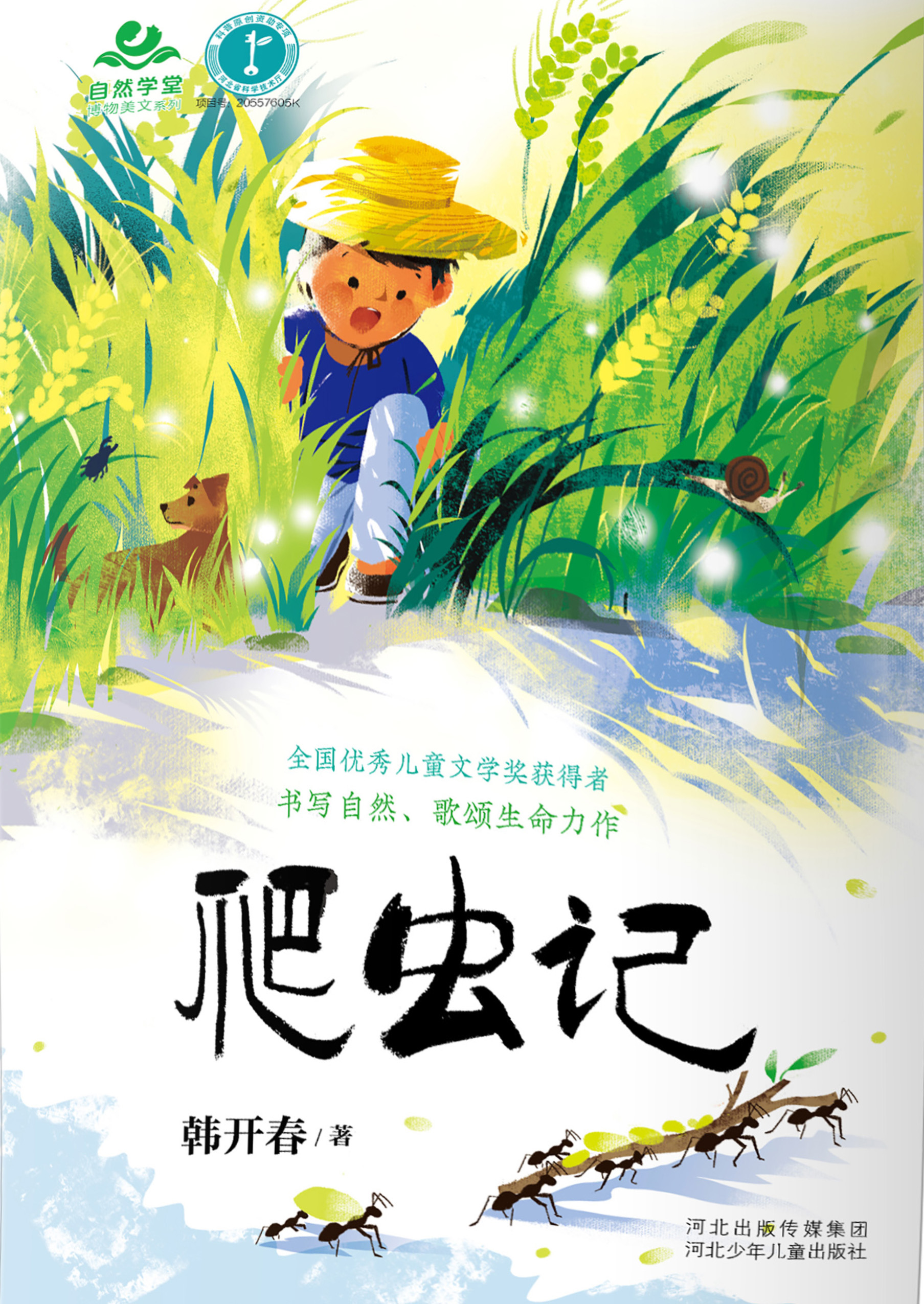 爬虫记