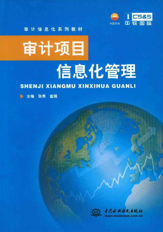 审计项目信息化管理