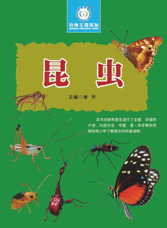 昆虫