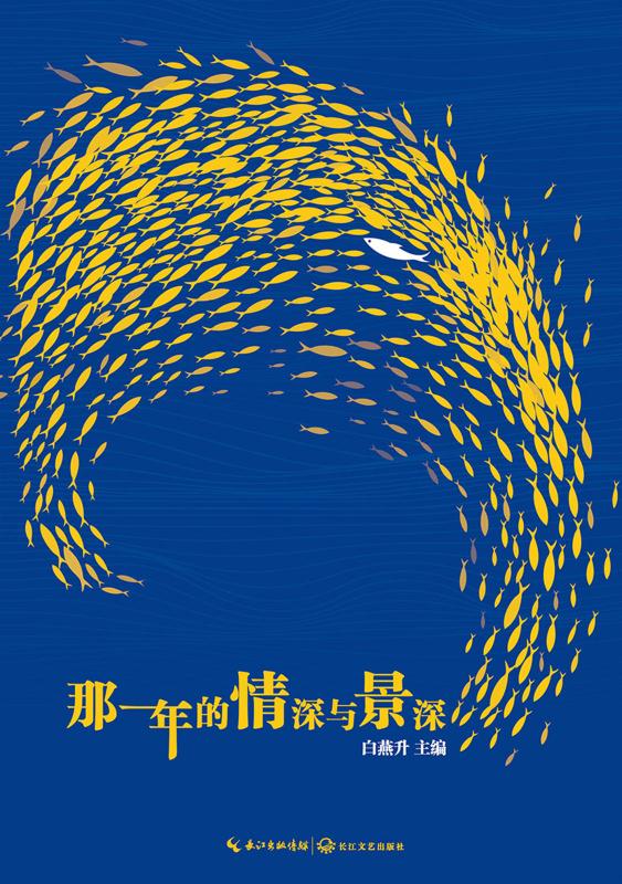 那一年的情深与景深