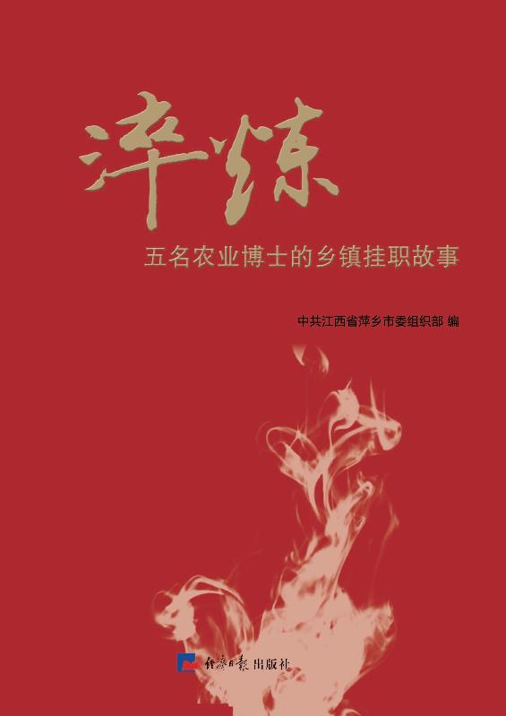 淬炼：五名农业博士的乡镇挂职故事