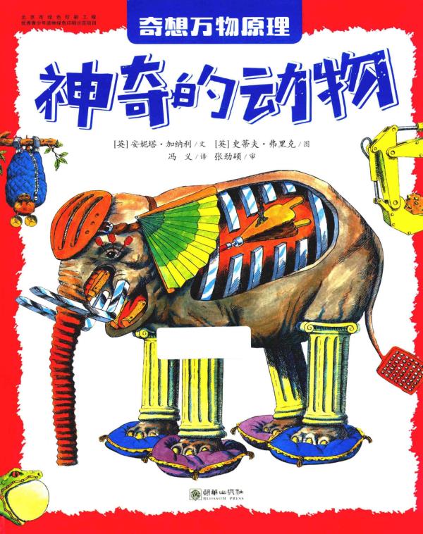 神奇的动物