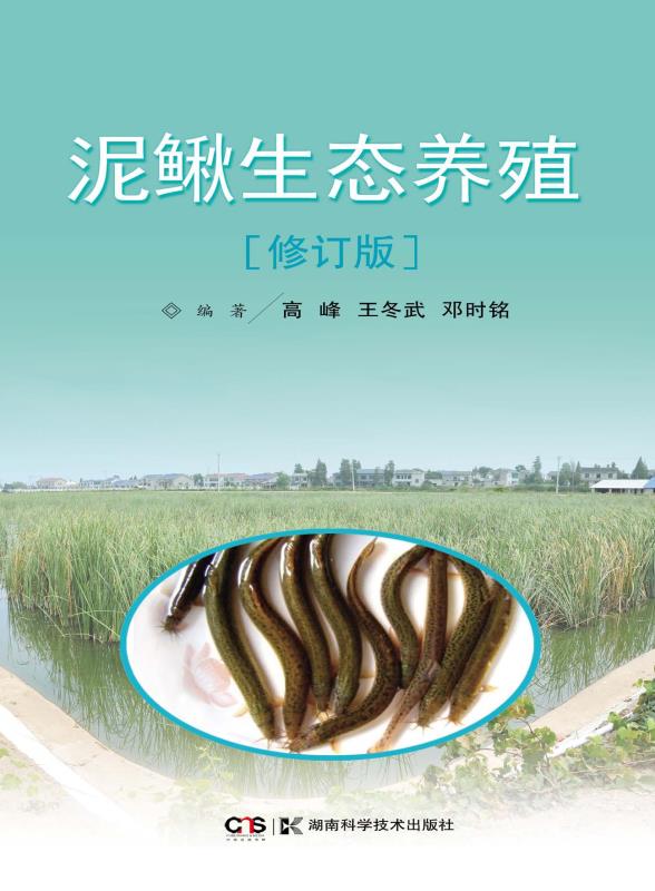 泥鳅生态养殖