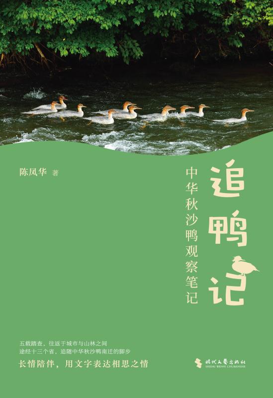 追鸭记：中华秋沙鸭观察笔记