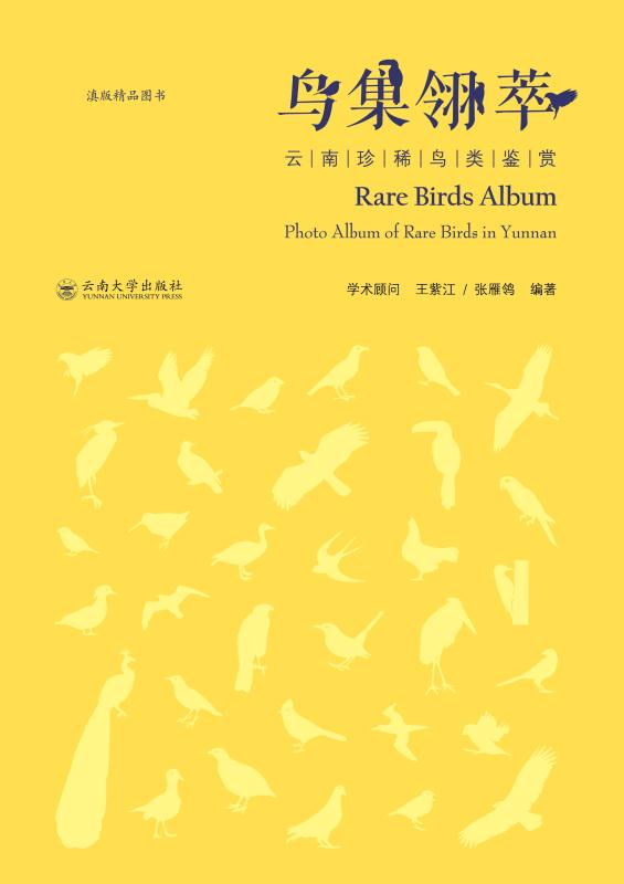 鸟集翎萃:云南珍稀鸟类鉴赏