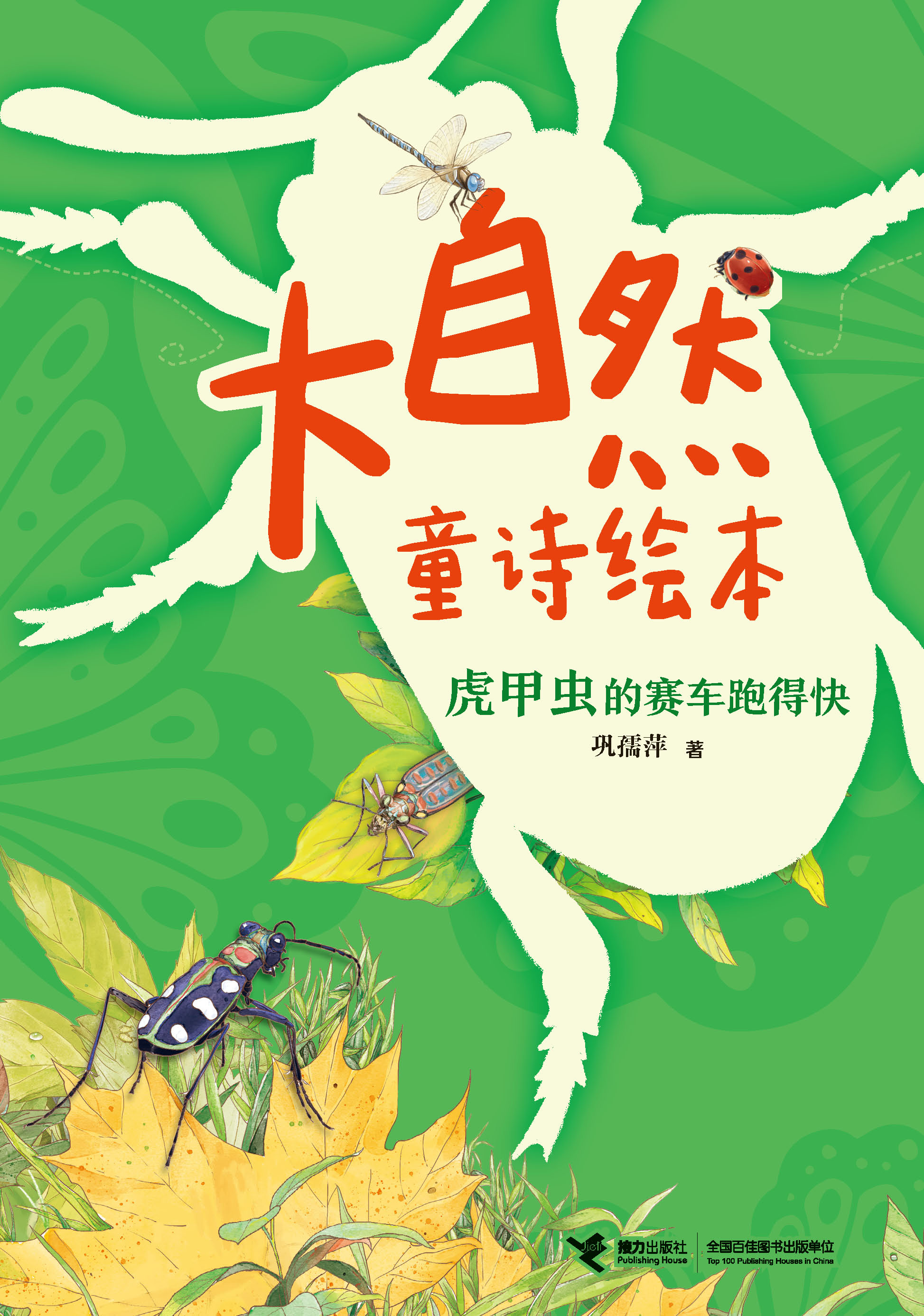 虎甲虫的赛车跑得快