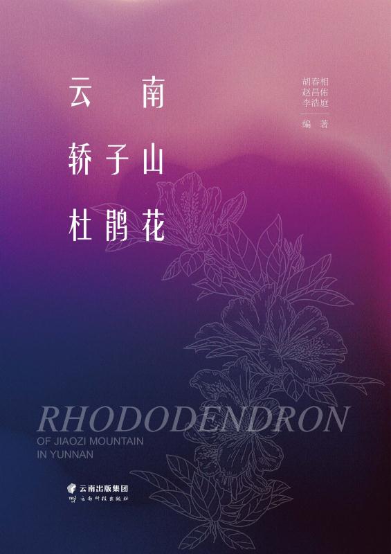 云南轿子山杜鹃花
