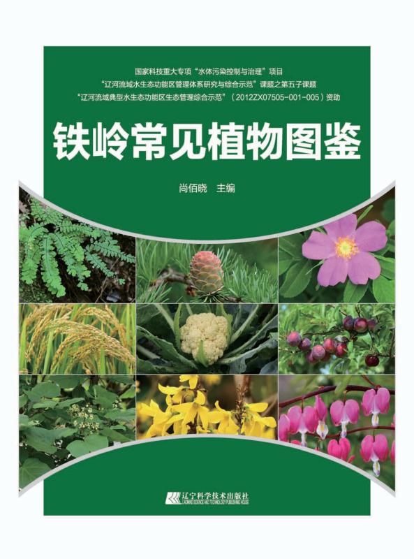 铁岭常见植物图鉴
