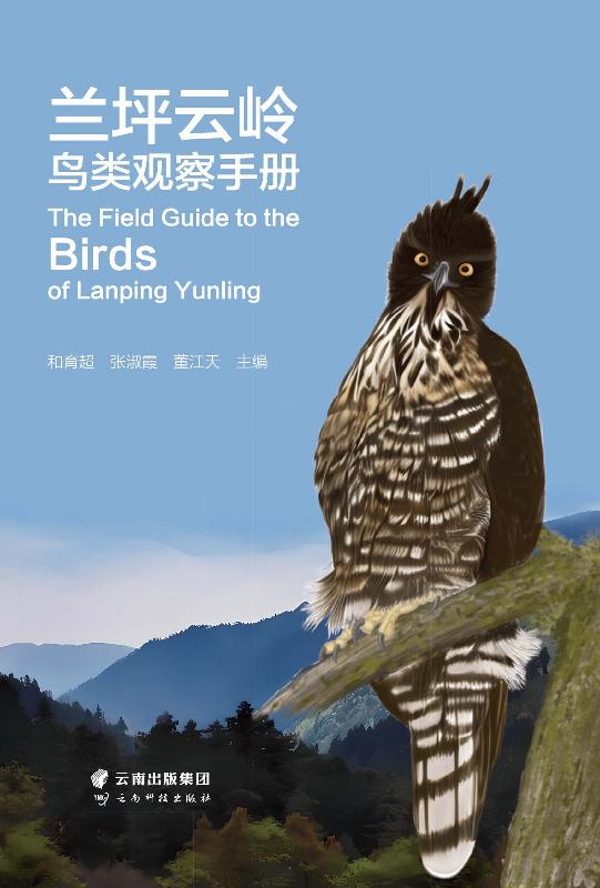 兰坪云岭鸟类观察手册
