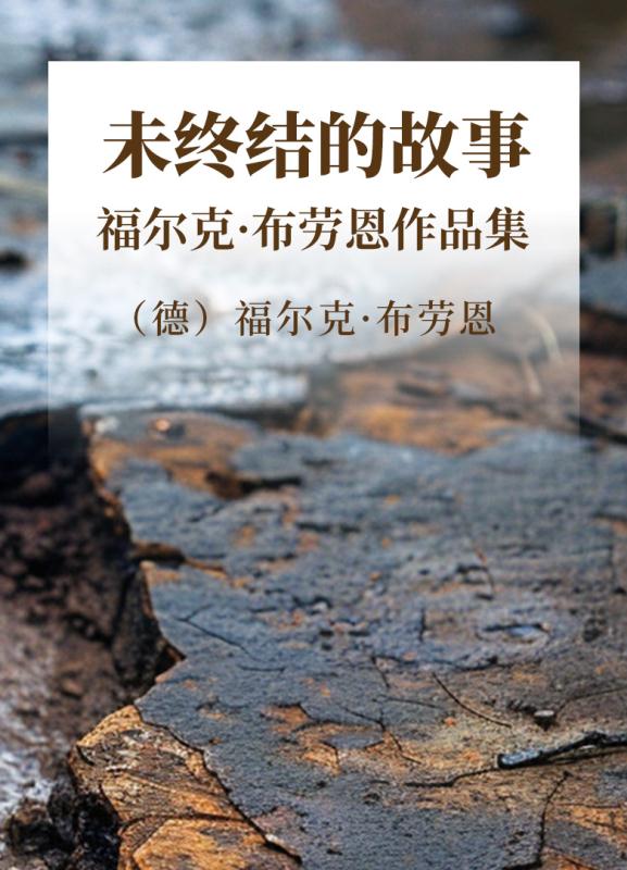 未终结的故事  福尔克·布劳恩作品集