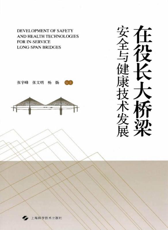 在役长大桥梁安全与健康技术发展