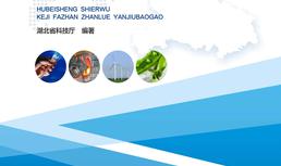 湖北省“十二五”科技发展战略研究报告