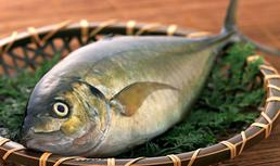 水产生物遗传育种学实验