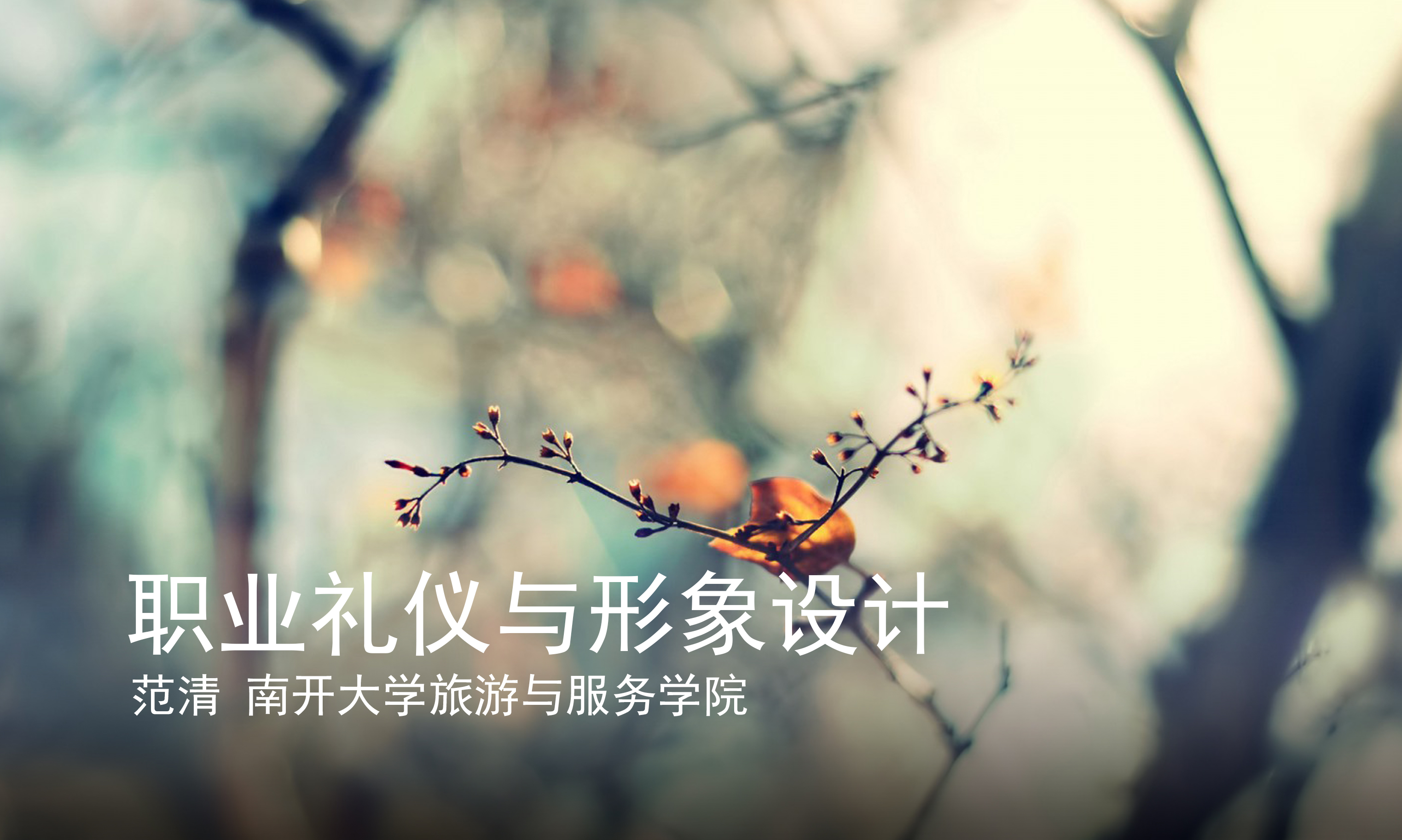 职业礼仪与形象设计