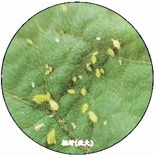 figure_0090_0108