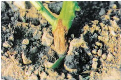 figure_0027_0029