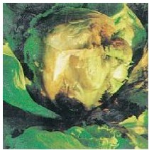 figure_0011_0004