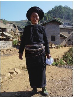 figure_0083_0024