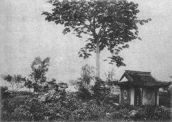 0036-01