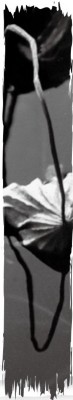 figure_0066_0010