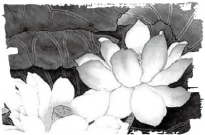 figure_0099_0011