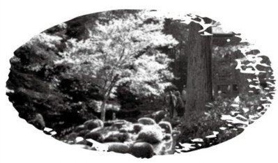 figure_0126_0014