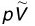 figure_0025_0028