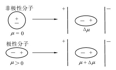 figure_0204_0746