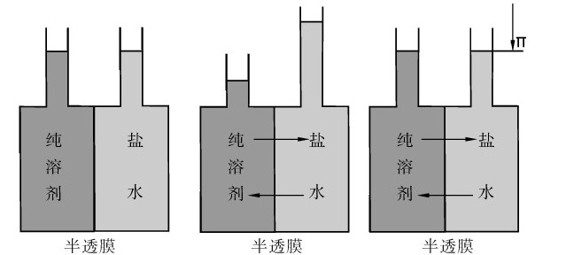 figure_0030_0056