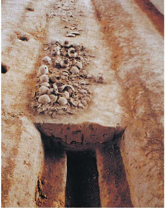 035-1