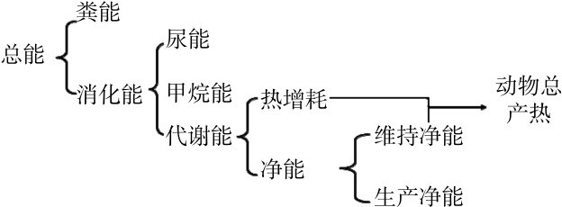 总能消化能粪能甲烷能代谢能尿能净能热增耗动物总产热生产净能维持净能