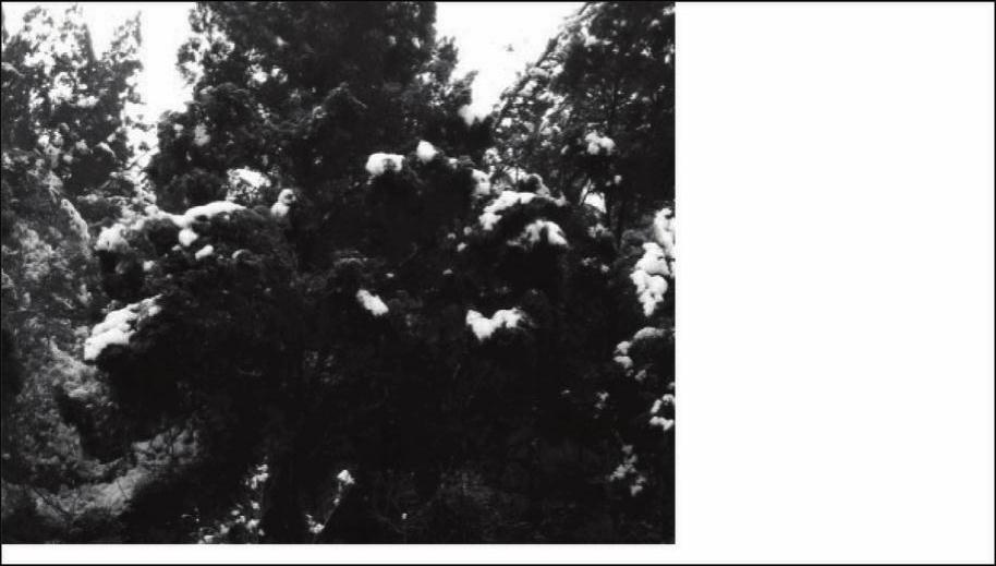 978-7-111-53392-4-Part02-305.jpg