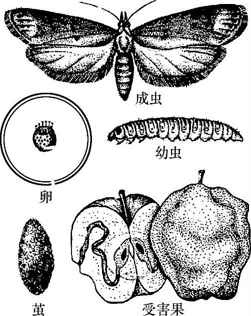 978-7-111-51132-8-Chapter04-1.jpg