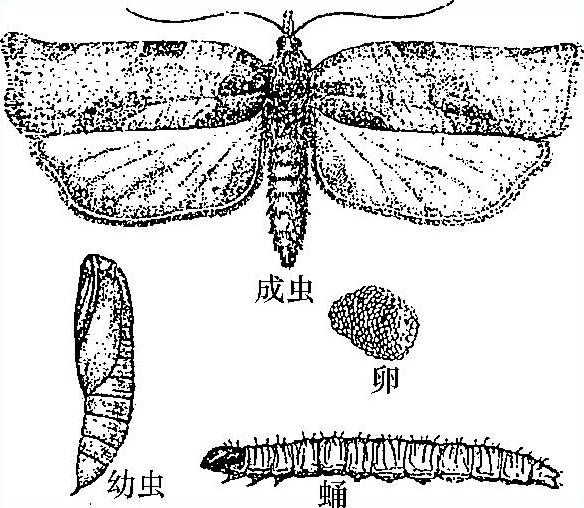 978-7-111-51132-8-Chapter04-5.jpg
