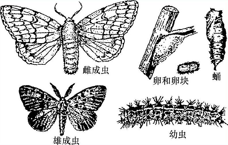 978-7-111-51132-8-Chapter04-9.jpg