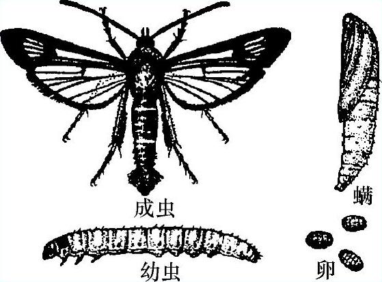 978-7-111-51132-8-Chapter04-25.jpg