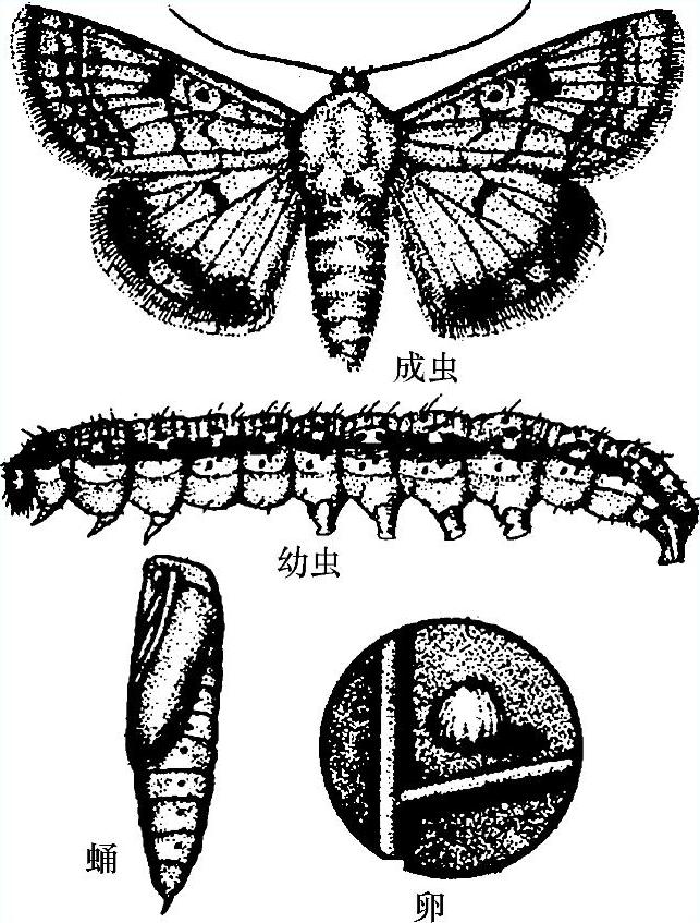 978-7-111-51132-8-Chapter04-3.jpg