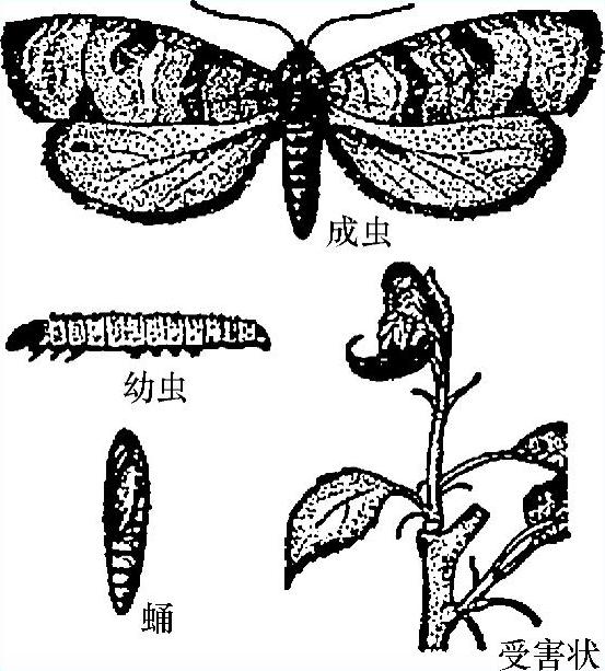 978-7-111-51132-8-Chapter04-7.jpg