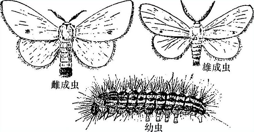 978-7-111-51132-8-Chapter04-8.jpg