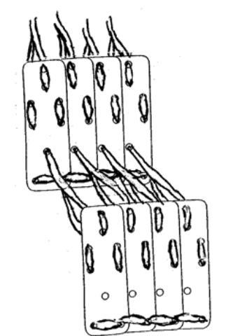 978-7-111-51974-4-Part01-113.jpg