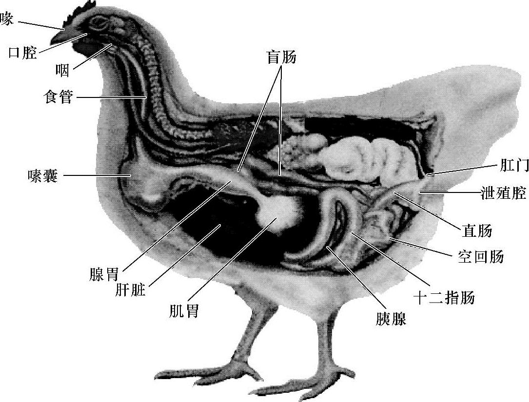 978-7-111-44629-3-Chapter01-1.jpg