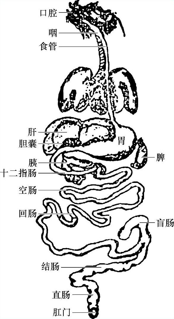 978-7-111-58004-1-Chapter05-1.jpg