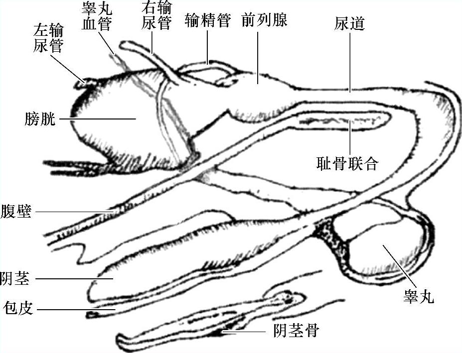 978-7-111-58004-1-Chapter07-1.jpg