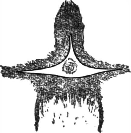 978-7-111-58004-1-Chapter08-1.jpg