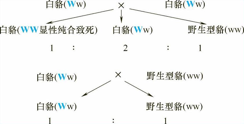 978-7-111-58004-1-Chapter04-5.jpg